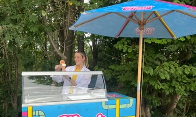 Mimis Ice Cream Factory Ltd