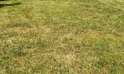 Event Medical Solutions SW CIC