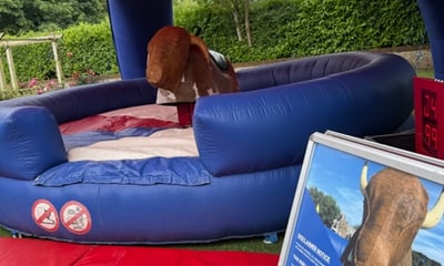 Rodeo Bull Norwich