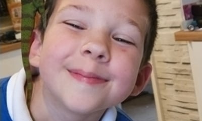 1.5 hour party package getting hands on with a range of reptiles