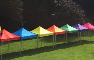 Multi colour row from above 2.jpg