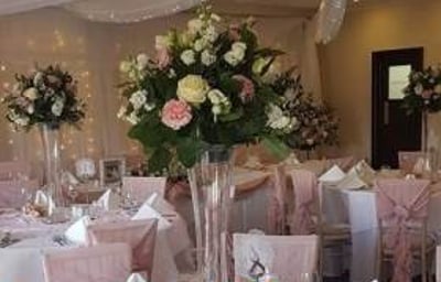 dusky pink full set up