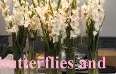 pale pink tall vases