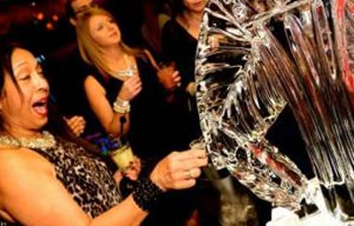 Vodka Luge Martini Glass 