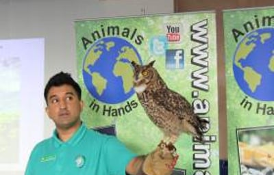 Here's Sherness Our Eagle Owl