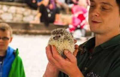 Justin and an African Hedgehog