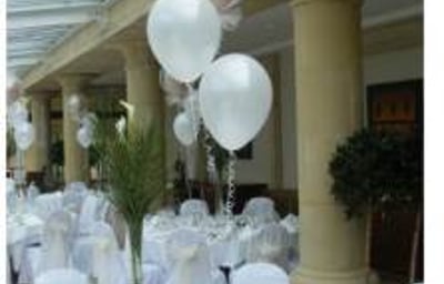 'Wedding Decor' Vale Hotel
