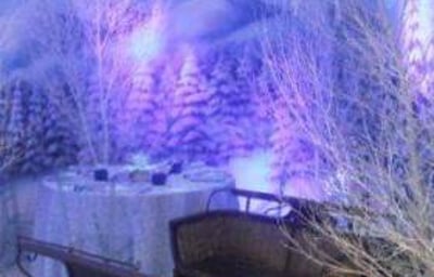 winter wonderland themed party