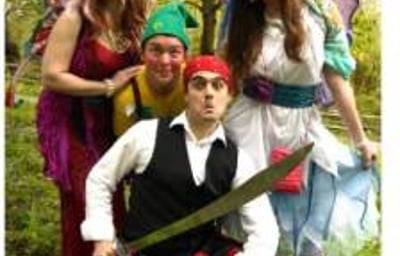 Felicity Fairy's Entertainers