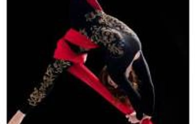 Circus & Aerial Silks