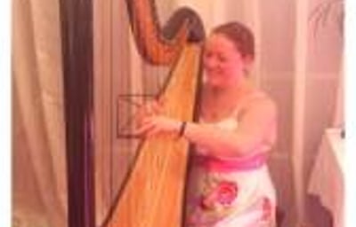 Wedding Harpist