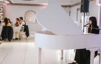 Performing during a wedding breakfast at Froyle Park