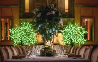 Cowdray House  with our new uplighters and Pin Spots 5th April 2018 3