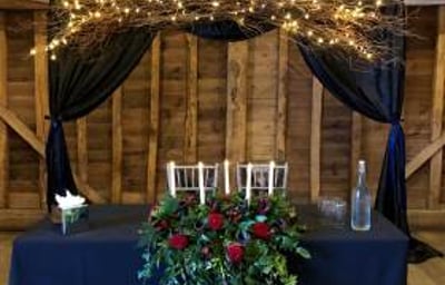 Twilight Willow Themed Backdrop hire in Hertfordshire, Bedfordshire, Essex & surrounding areas.
