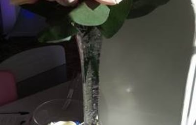 Stunning_Floral_Arrangement_Lily_Vase_Centrepiece_Embellish_Venue_Styling