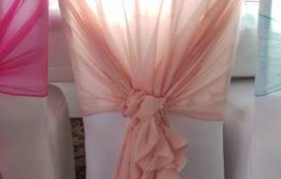Gorgeous_Blush_Pink_Ruffle_Hood_Embellish_Venue_Styling
