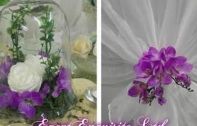 1486062_965340480214922_2509574977191728433_o