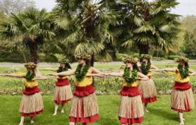Star Dancers UK Polynesian Dancers - Hawaiian Hula
