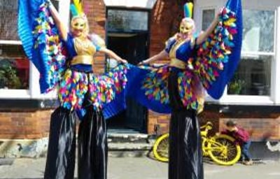 13112424_10156855619575402_801748694_o