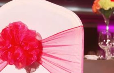 Chair Covers and Organza Sash