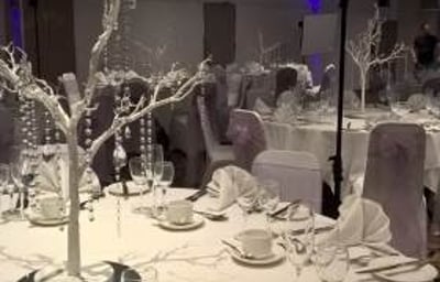 White Manzanita Style Crystal Trees