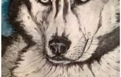 PicturesLab_AutoAdjust_FX_2017-03-23_11-37-11