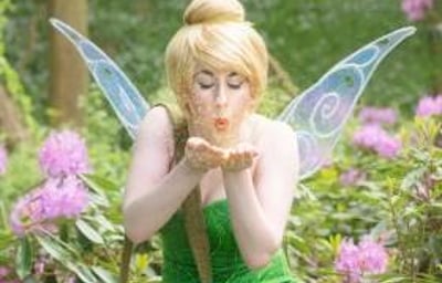 Tinker Fairy