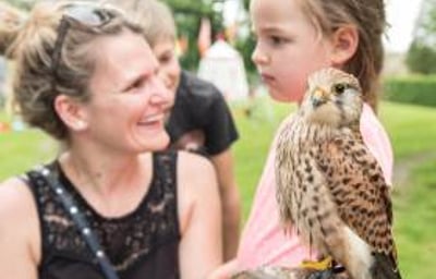 Handle Birds of Prey