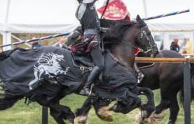 001 Cavalry of Heroes Medieval Jousting Knights on Horseback at Usk Show Monmouth Larry Weaver Photos