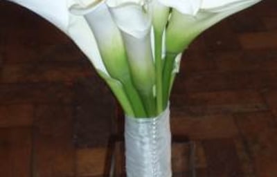 Calla Lily Hand Tied