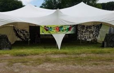 Bugfest at fetes and community events