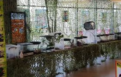 Bugfest Bournemouth Uni display 2019