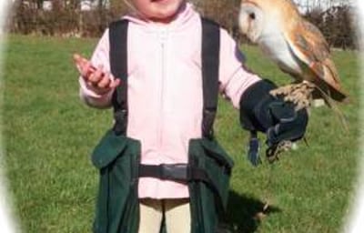 Experiences open to almost all age groups