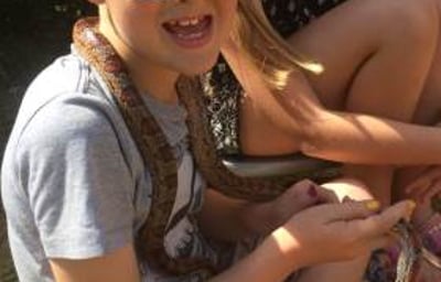 Meeting Cornelia the Corn Snake