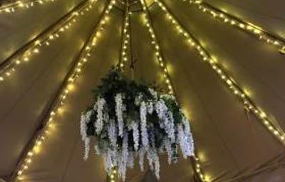 Fairy Lights_wisteria