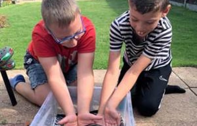 Hold the Worlds largest species of millipede!