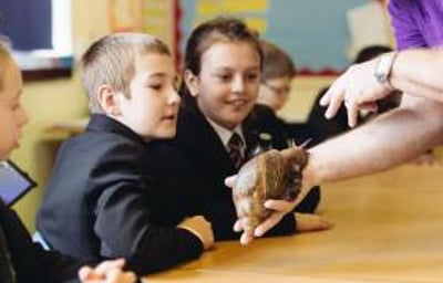 Bring learning to life!