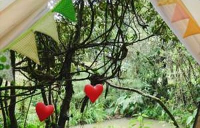 istock silver package jpg