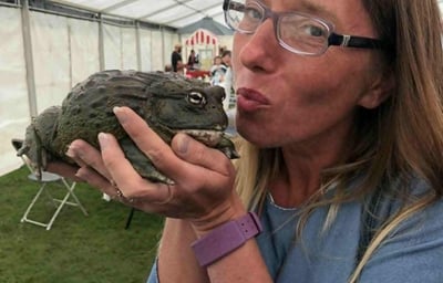 Billy the giant bull frog