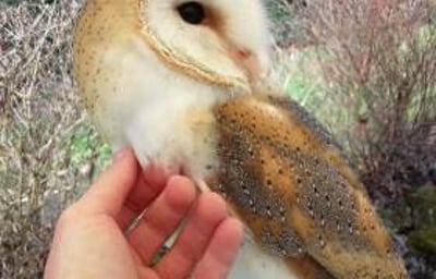 53625668_918052981865838_35519637235957760_o (1)