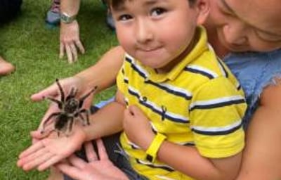 Children Birthday Party