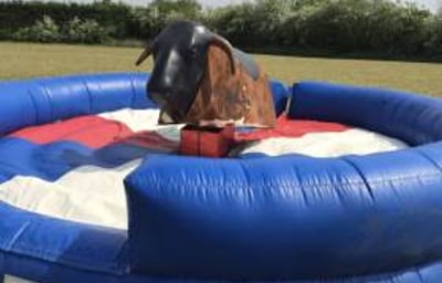 rodeo bull