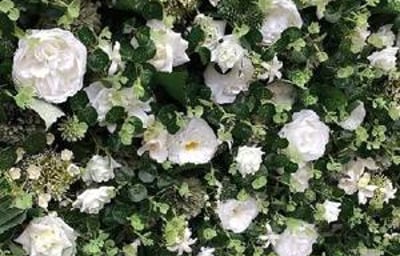 Greenery Flower Wall
