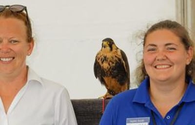 CJ'S BIRDS OF PREY TEAM