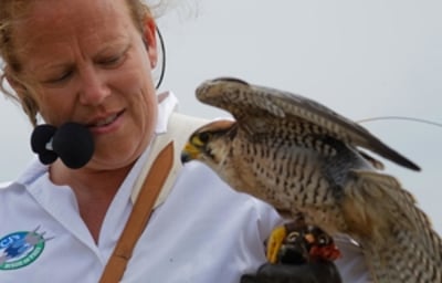 The owner, Charlotte Hill with one of her birds