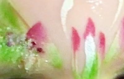 Dinas powys rugby club Easter party