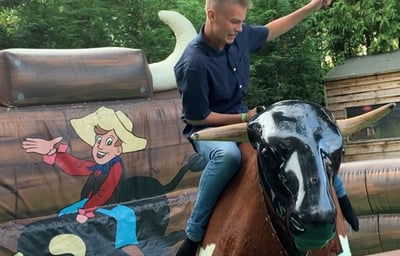 Rodeo Bull Hire