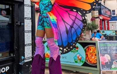 Butterfly 