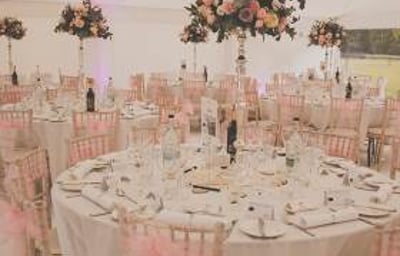 Pink Wedding Reception including flowers & chair sashes