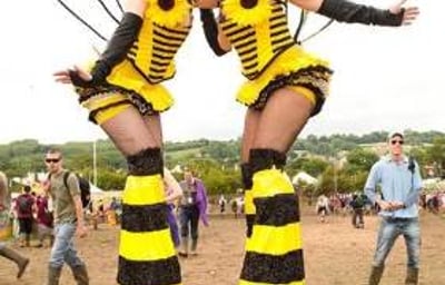 Bumble Bees!